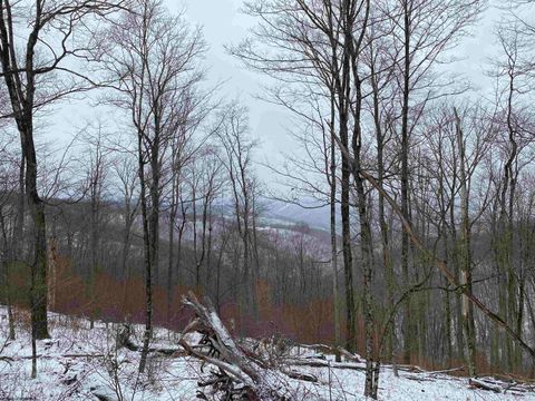 Photo of TBD Stemple Ridge Road, Aurora, WV 26705 (MLS # 10163057)