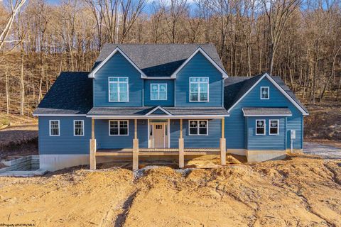 Photo of 1002 Poplar Drive, Grafton, WV 26354 (MLS # 10163484)