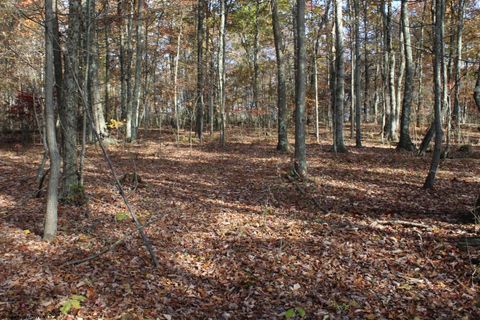 Photo of Lot 13 Sand Bank Heights Road, Masontown, WV 26542 (MLS # 10162411)