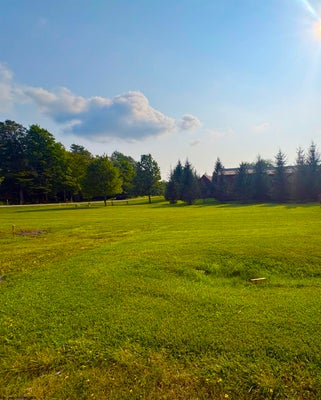 89 PENNY LN, DAVIS, WV 26260 - Image f29bec4a19ade6dc73a60fdfc31f1ba4/4069091896