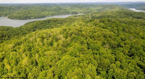Photo of 381 WEST HILL Road, Grafton, WV 26354 (MLS # 10162724)