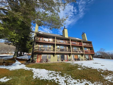 Photo of 16 Grizzly Way #121, Davis, WV 26260 (MLS # 10162823)