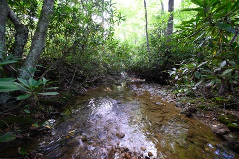 Photo for Lot 1 Deep Hollow Drive