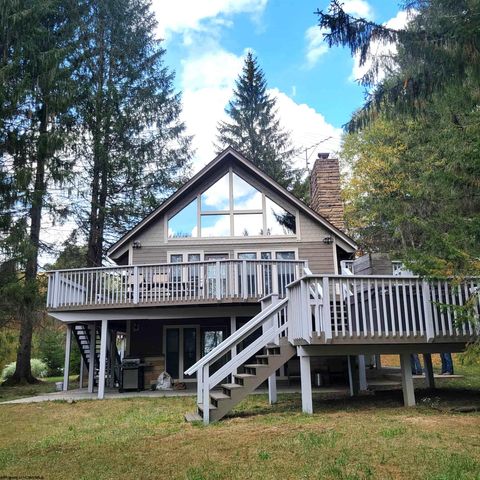 Photo of 67 Goose Lodge Road, Davis, WV 26260 (MLS # 10161887)
