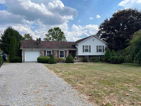 Photo of 9517 Seneca Trail, Mill Creek, WV 26280 (MLS # 10161661)