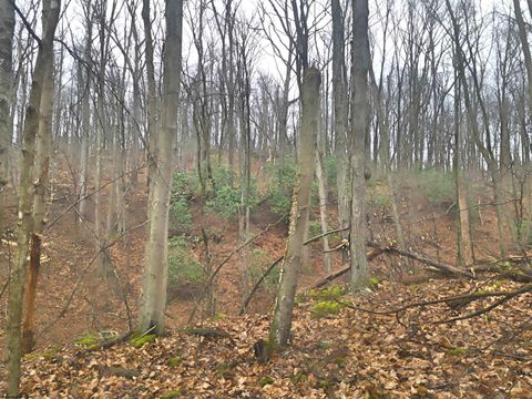 Photo of Lot 17,18 &19 Poplar Drive, Grafton, WV 26354 (MLS # 10163264)