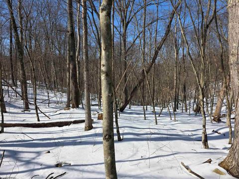 Photo of Lot 17,18 &19 Poplar Drive, Grafton, WV 26354 (MLS # 10163264)