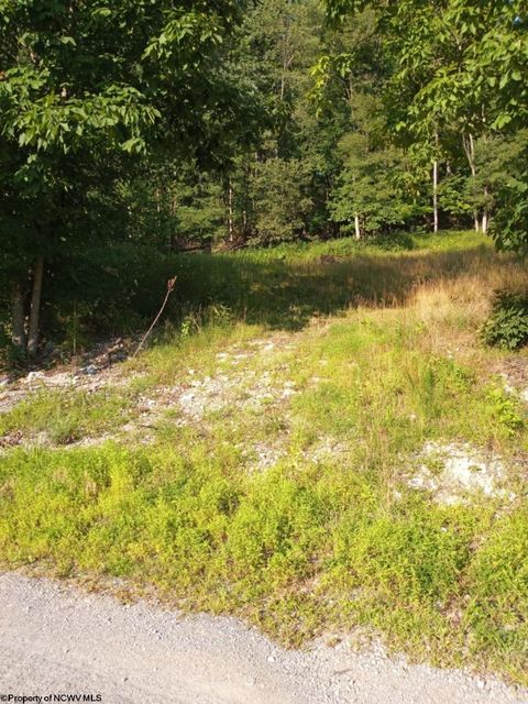 Photo of 1024 Mount Lebanon Road, Buckhannon, WV 26201 (MLS # 10155534)