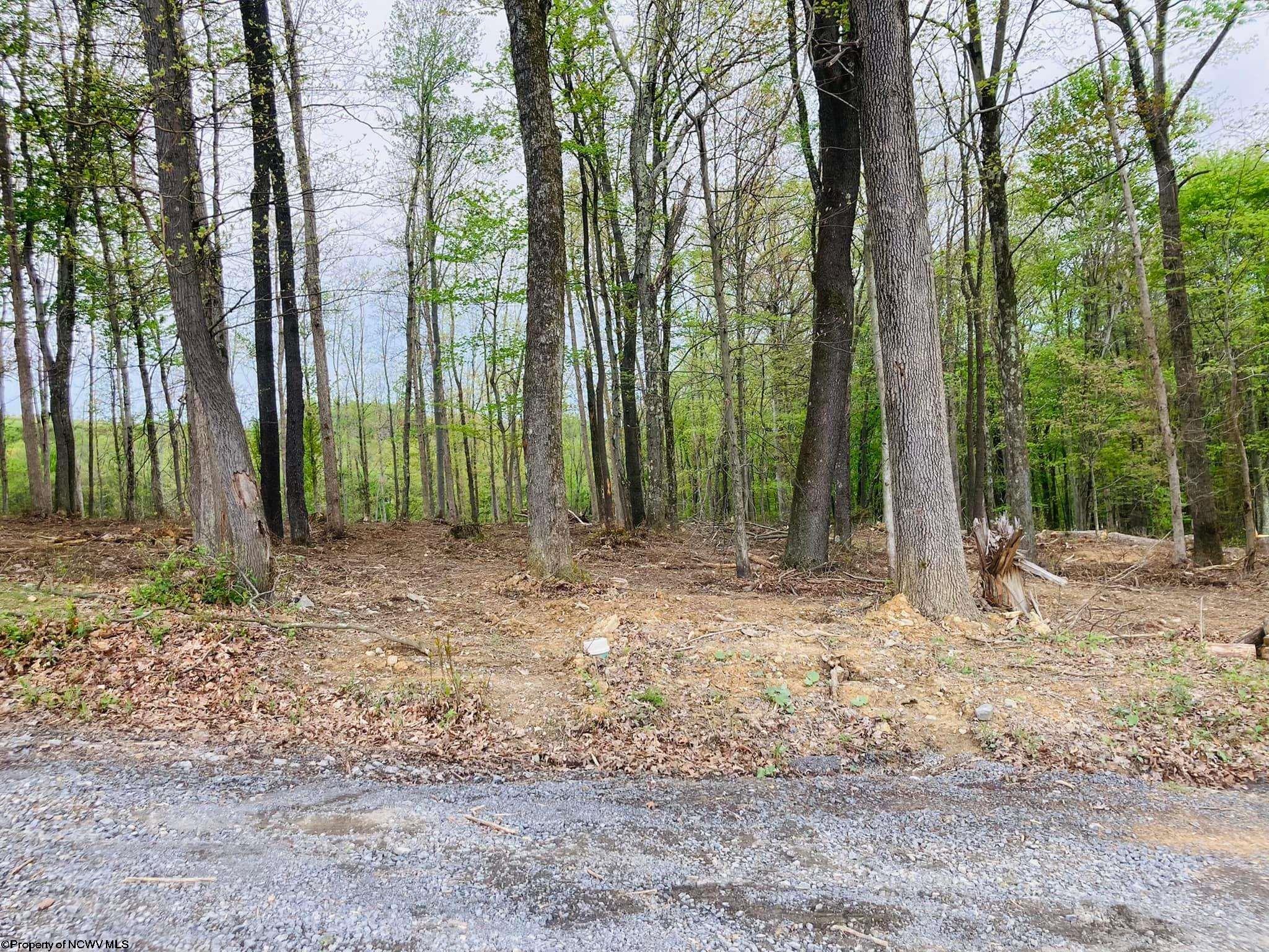 Photo 1 of 12 of 5 Rhinewood Lane land