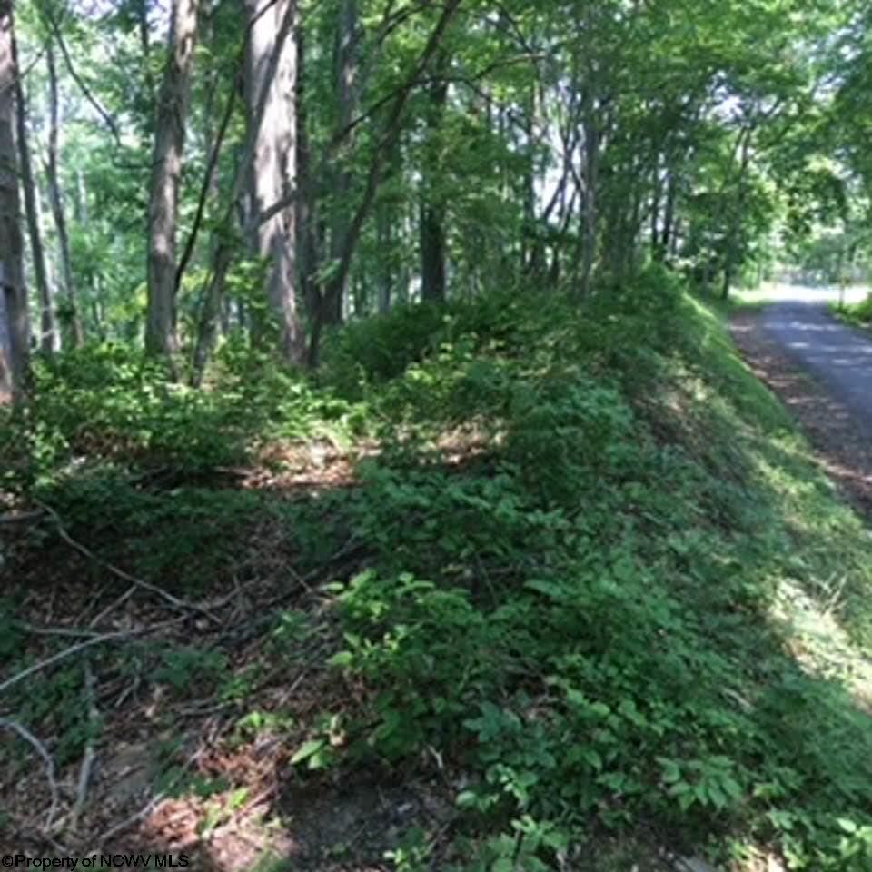 Photo 4 of 12 of 5 Rhinewood Lane land