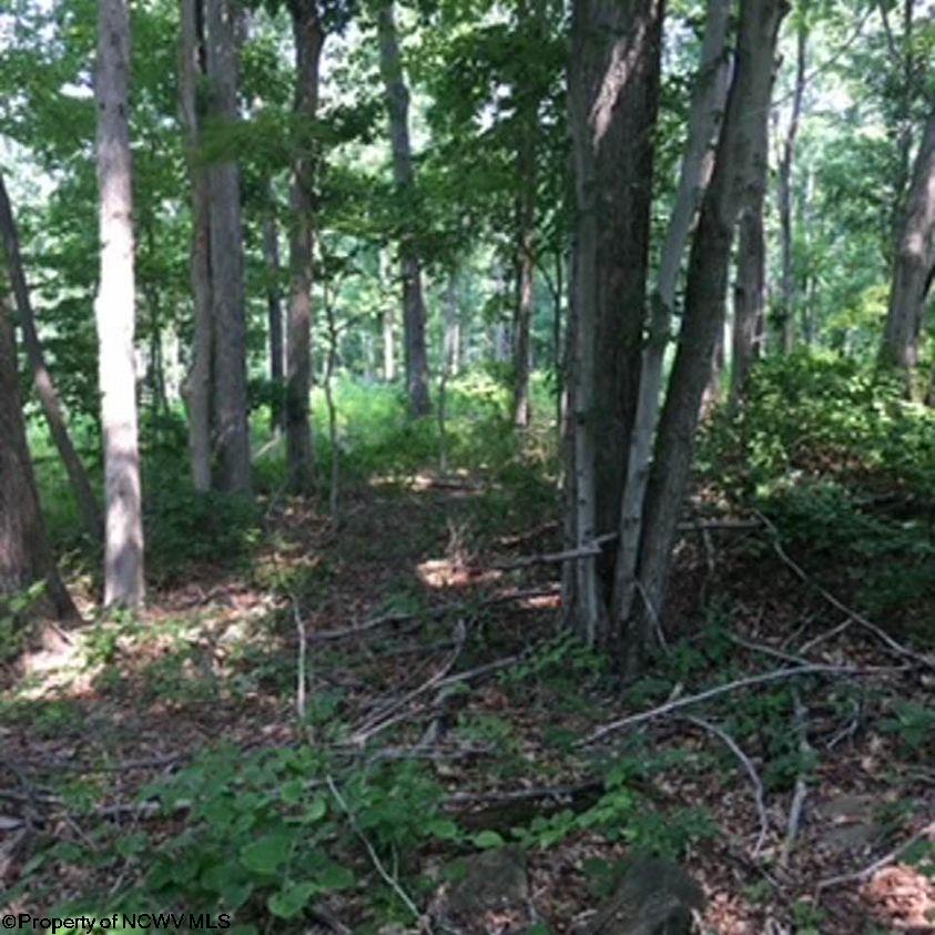 Photo 3 of 12 of 5 Rhinewood Lane land