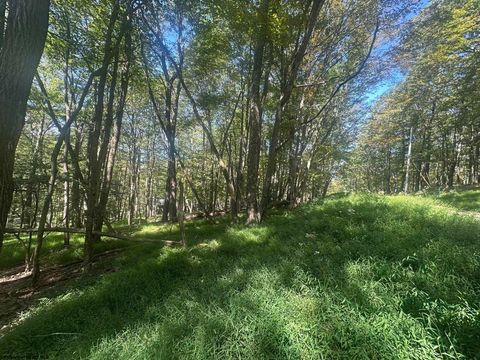 Photo of lot 67 Clover Drive Lot 67 Innsbruck, Terra Alta, WV 26764 (MLS # 10161505)