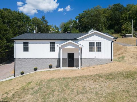 Photo of 343 E First Street, Weston, WV 26452 (MLS # 10161400)