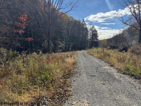 Photo of TBD Adolph Road (RR), Mill Creek, WV 26280 (MLS # 10162274)