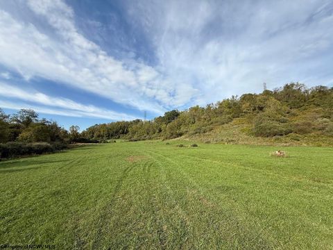 Photo of 482 Doll Run, Mount Clare, WV 26301 (MLS # 10161969)