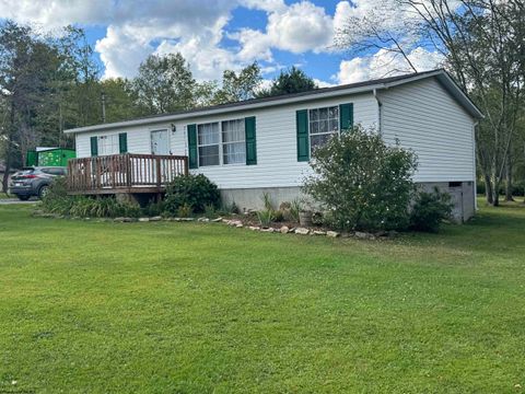 Photo of 47 Rapp Drive, Davis, WV 26260 (MLS # 10161384) Photo of 47 Rapp Drive, Davis, WV 26260 (MLS # 10161384)