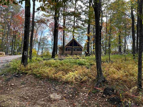 Photo of 600 Forest Cabin Road, Huttonsville, WV 26273 (MLS # 10161566)