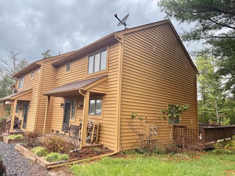 Photo of 87 Deerfield Circle #Unit, Davis, WV 26260 (MLS # 10165114)