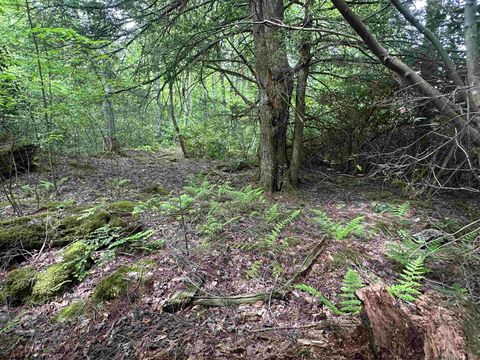 Photo of Lot 7 Tuscan Ridge Road, Davis, WV 26260 (MLS # 10165115)