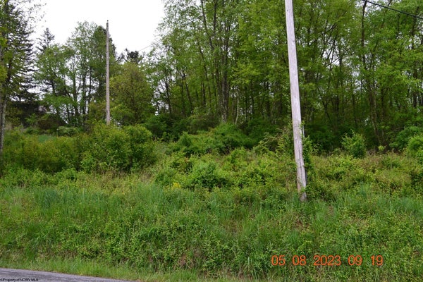 36 LUCAS RD, GRAFTON, WV 26354 - Image fcc4e147481488bdc747d253c555b4de/95586536