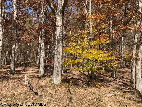 Photo of TBD Holly Meadows Road, Parsons, WV 26287 (MLS # 10162100)