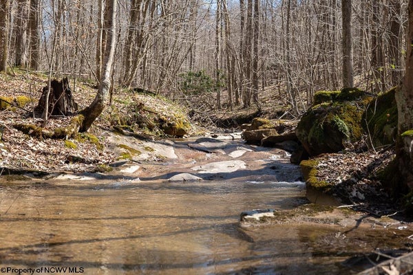 1 FAIRFAX LN, REEDSVILLE, WV 26547 - Image fd3985df3ffce437f80f8298001a3afb/1673136473