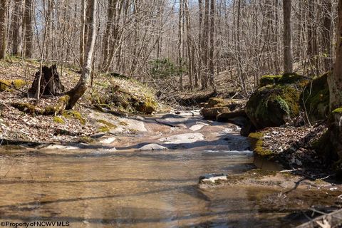 Photo of Lot 1 Fairfax Mine Road, Kingwood, WV 26537 (MLS # 10164213)