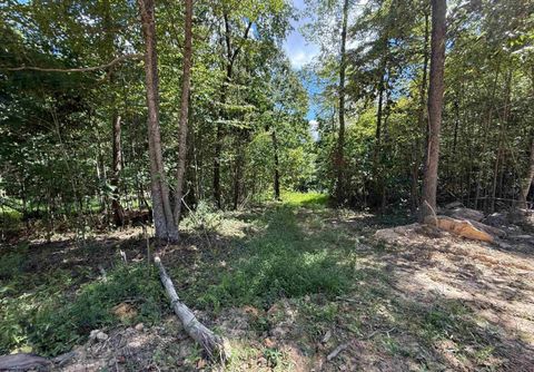 Photo of Lot 4 Brooklyn Way, Moatsville, WV 26405 (MLS # 10161285)