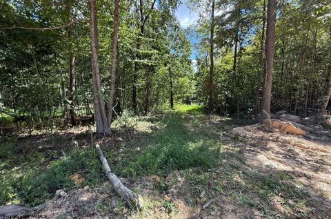 Photo of Lot 4 Brooklyn Way, Moatsville, WV 26405 (MLS # 10161285)