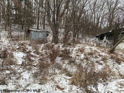 Photo of 10 Thorne Avenue, Elkins, WV 26241 (MLS # 10162894)