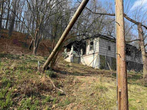 Photo of 10 Thorne Avenue, Elkins, WV 26241 (MLS # 10162894)