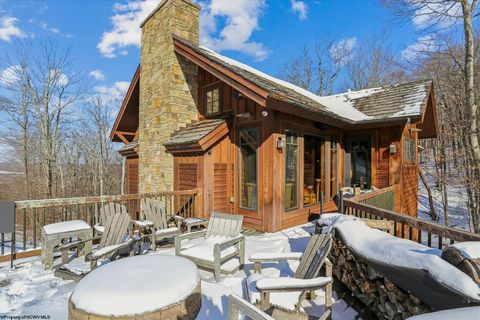 Photo of 451 Brookside Road, Davis, WV 26260 (MLS # 10163169)