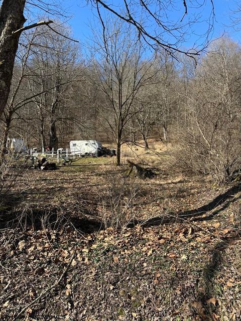 Photo of TBD Newlonton Road, Selbyville, WV 26236 (MLS # 10163502)