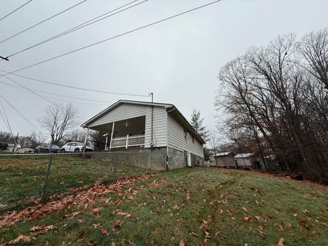 Photo of 120 Kyle Subdivision Drive, Nettie, WV 26681 (MLS # 10162582)