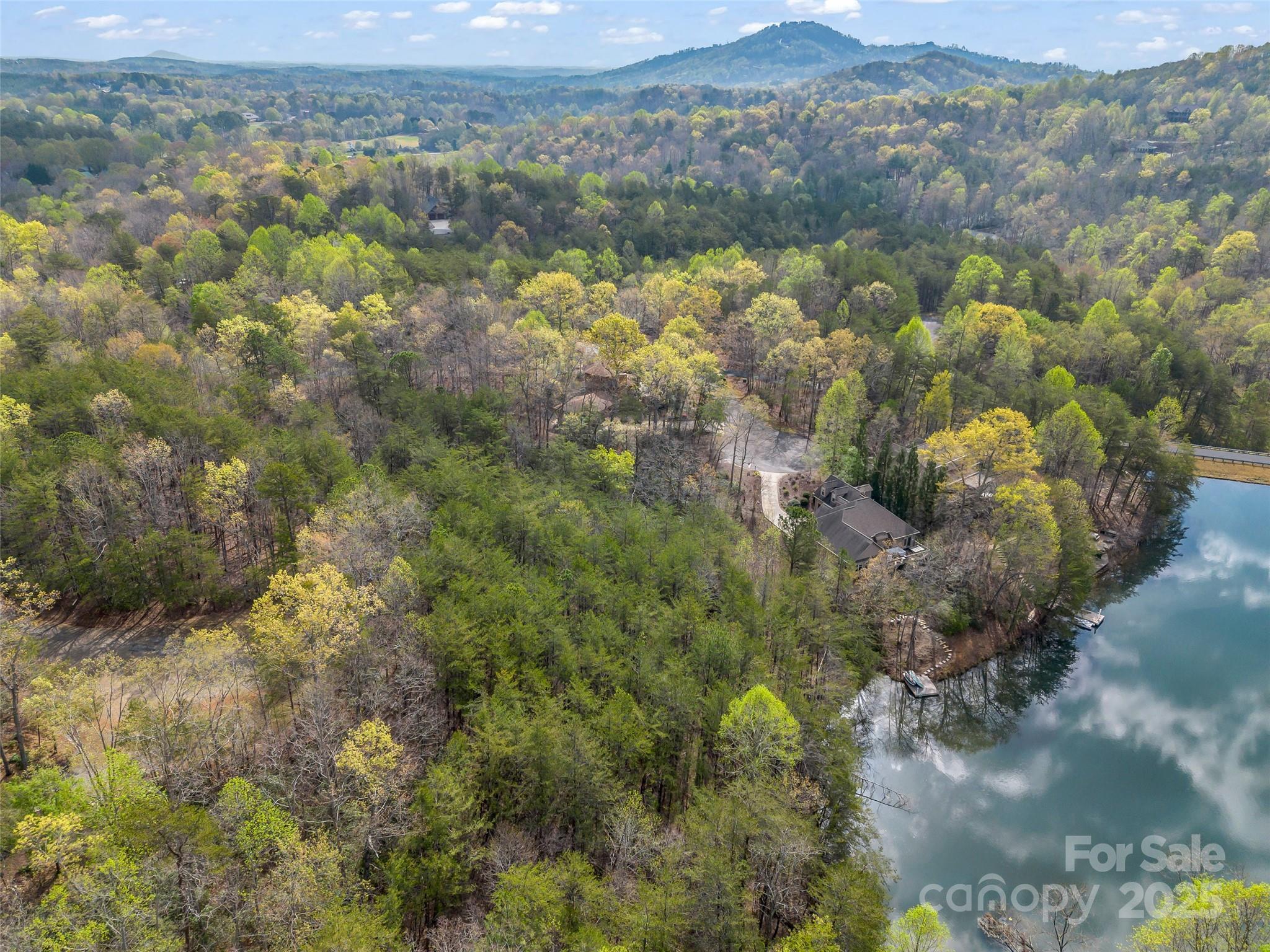 Rumbling Bald on Lake Lure - Land