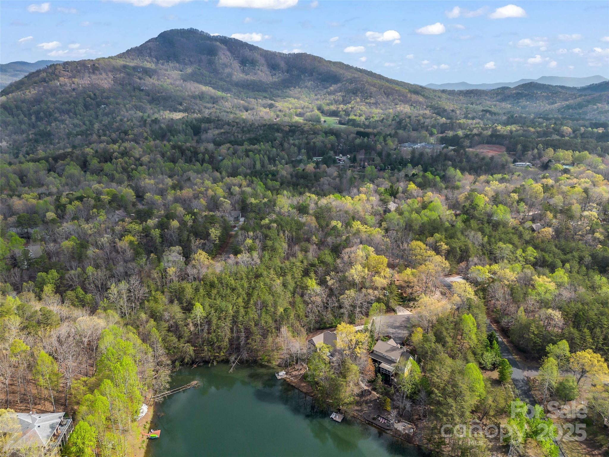 Rumbling Bald on Lake Lure - Land