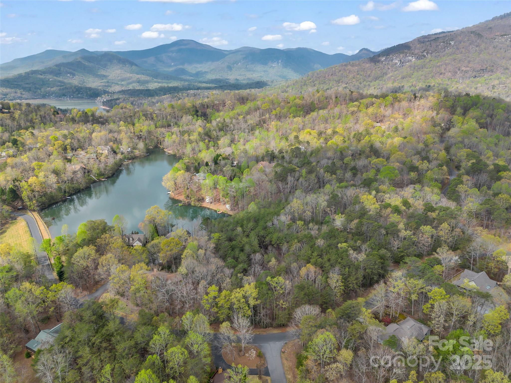Rumbling Bald on Lake Lure - Land