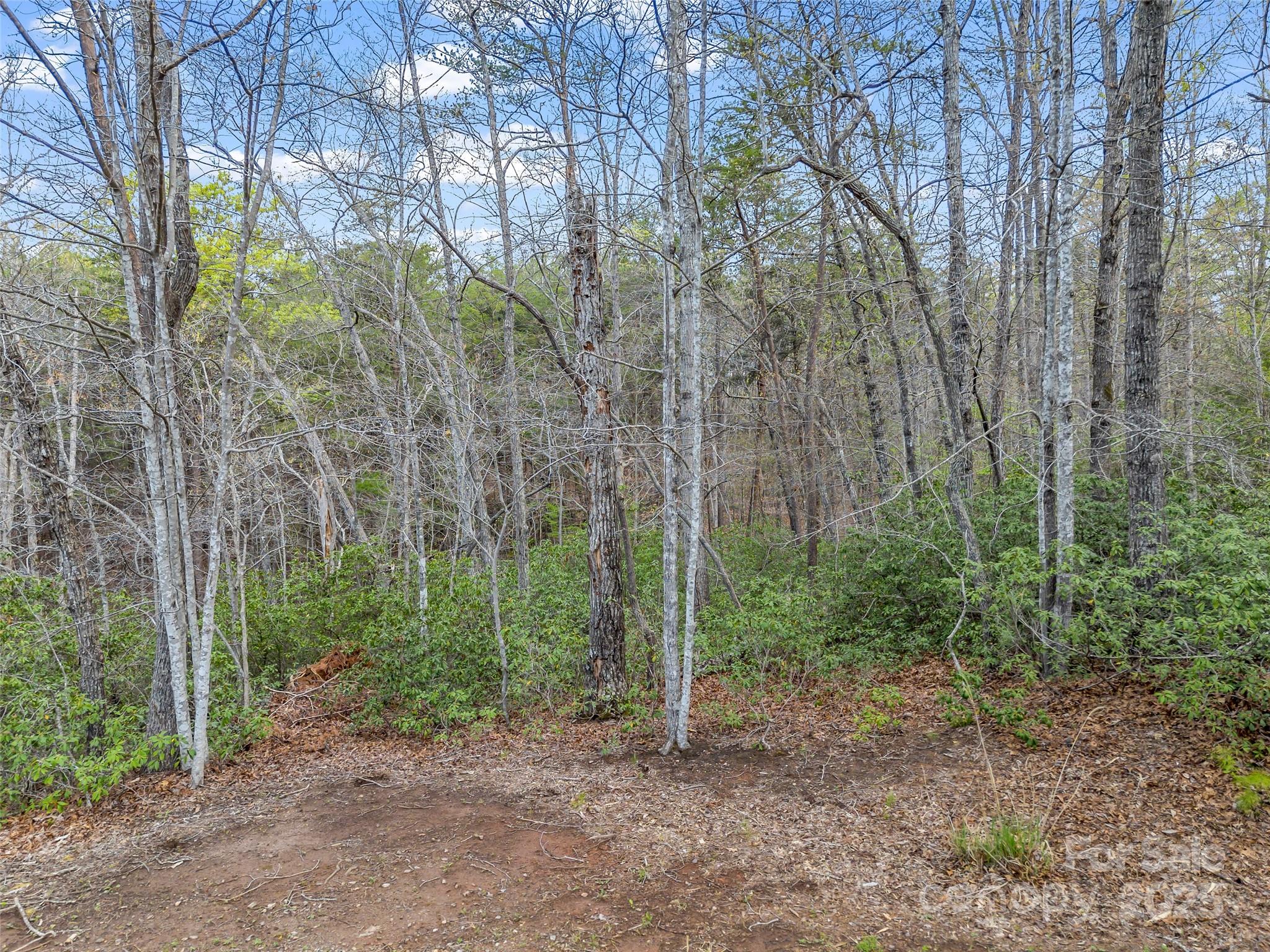 Rumbling Bald on Lake Lure - Land