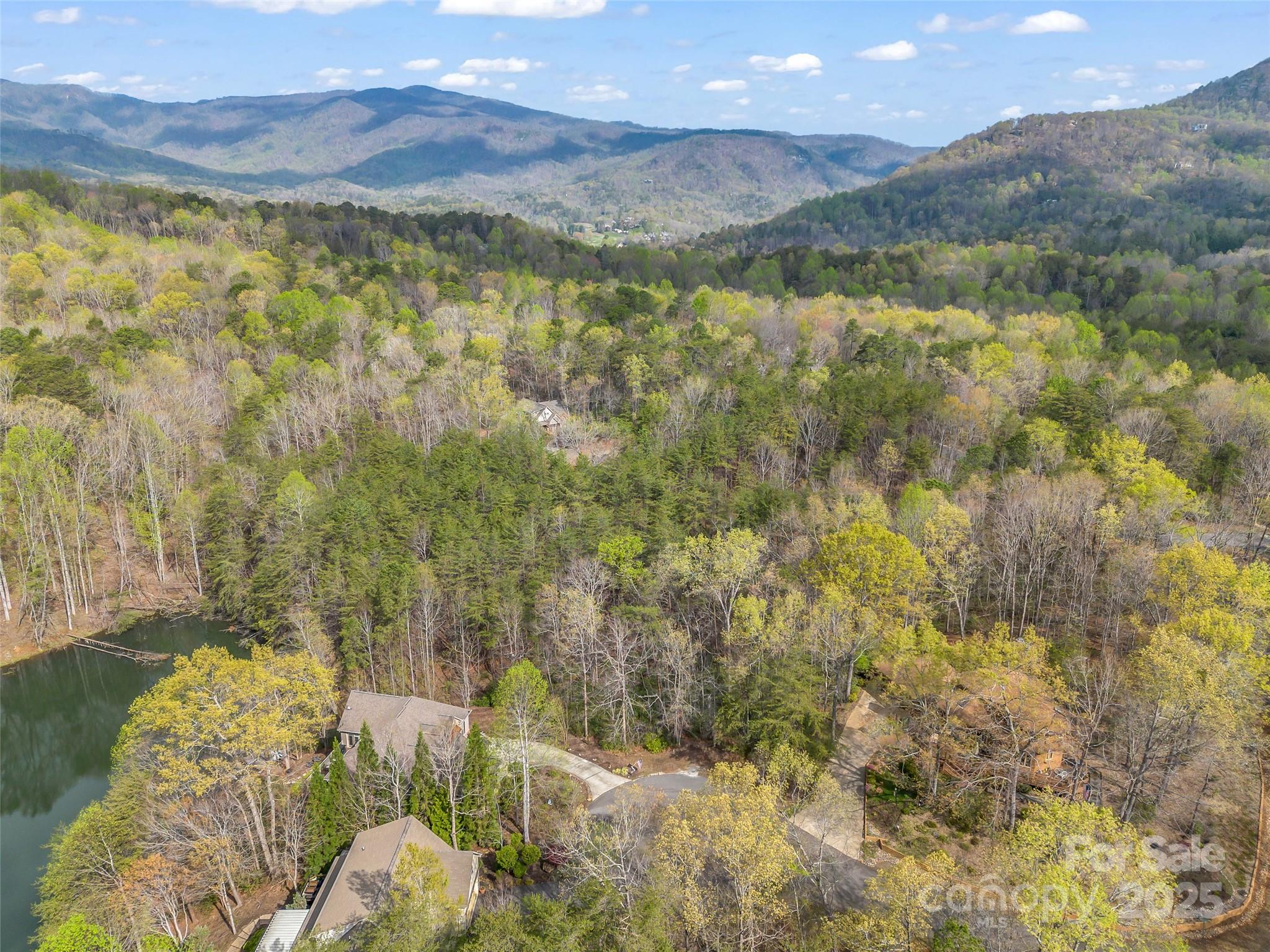 Rumbling Bald on Lake Lure - Land