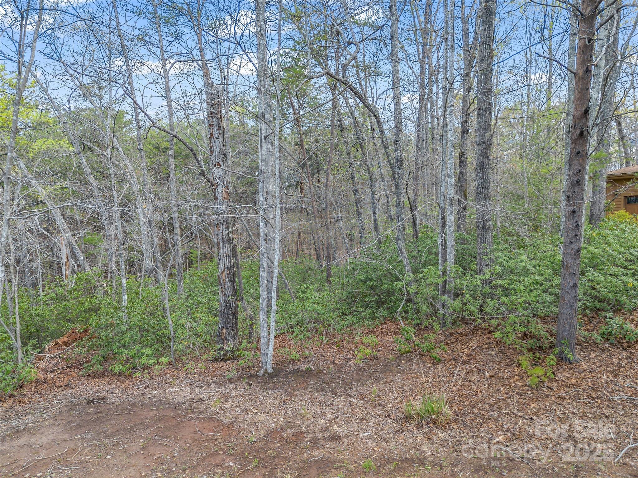 Rumbling Bald on Lake Lure - Land