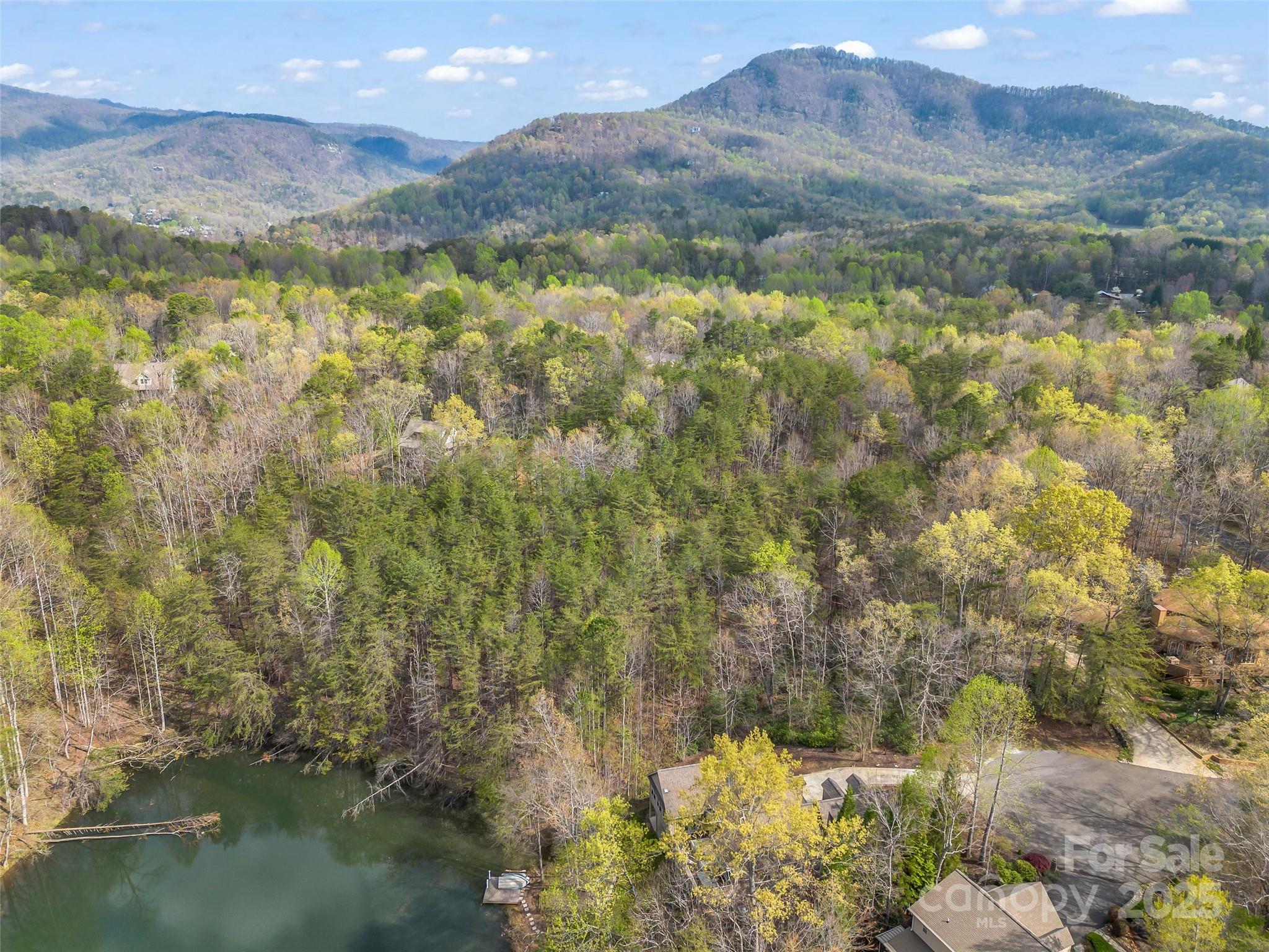 Rumbling Bald on Lake Lure - Land