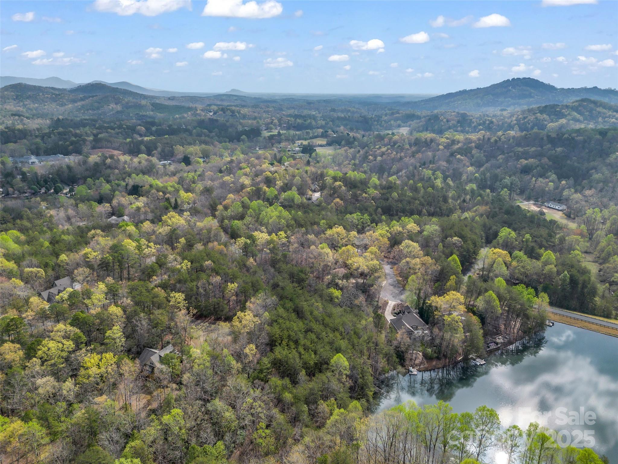Rumbling Bald on Lake Lure - Land
