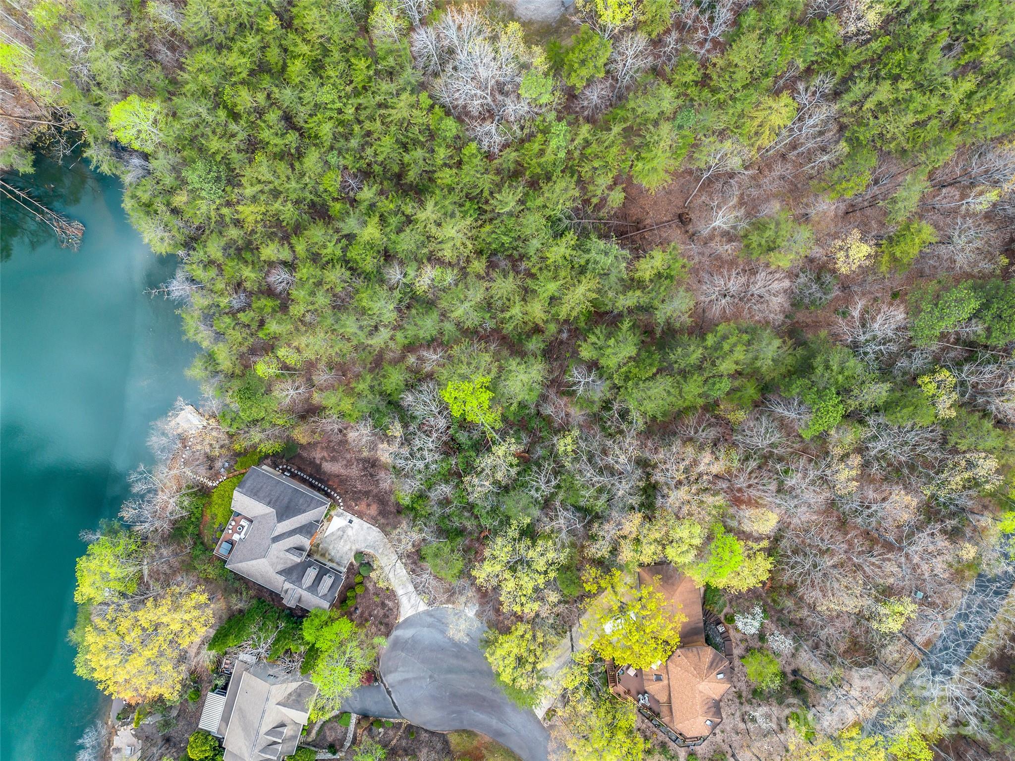 Rumbling Bald on Lake Lure - Land