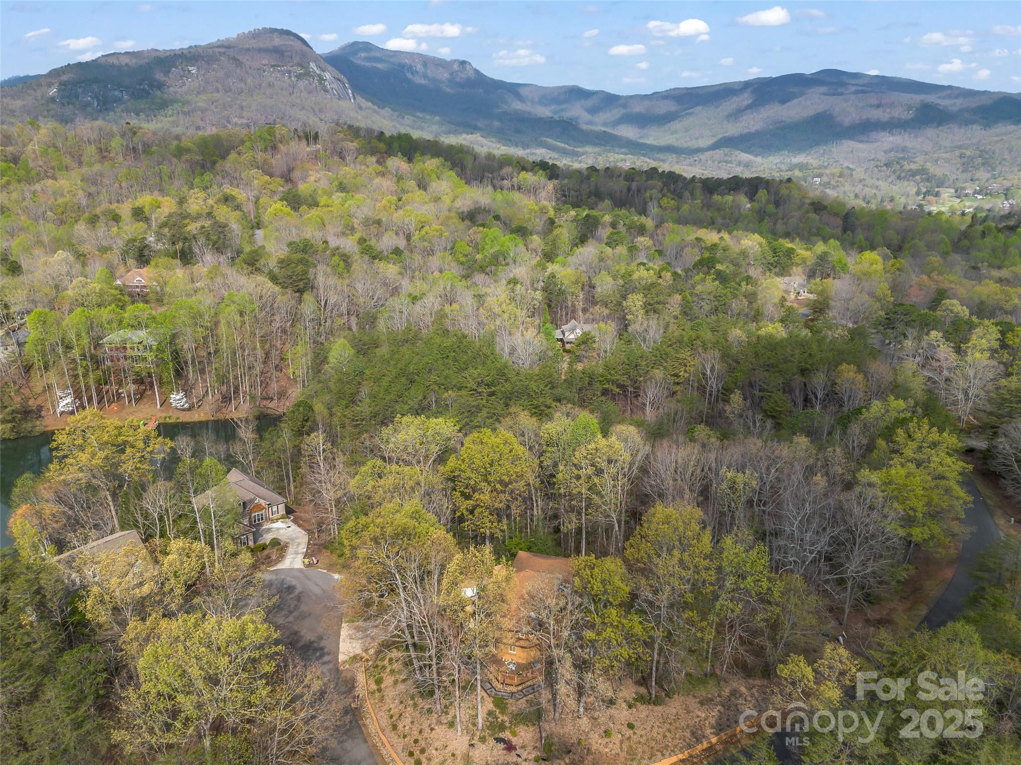Rumbling Bald on Lake Lure - Land