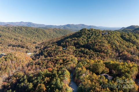9 Wapama Falls Drive 17 Black Mountain NC 28711