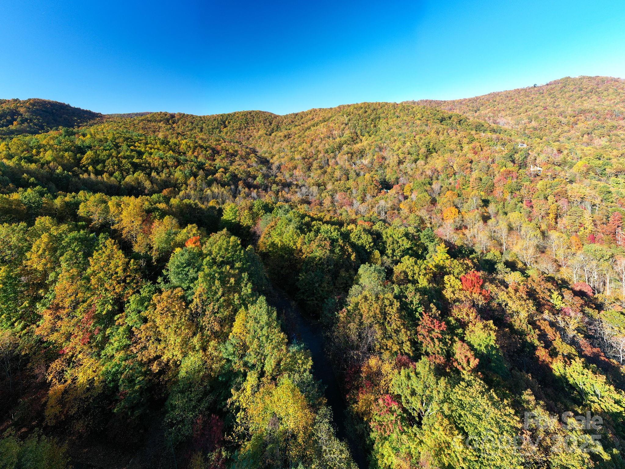 Catawba Falls Preserve - Land