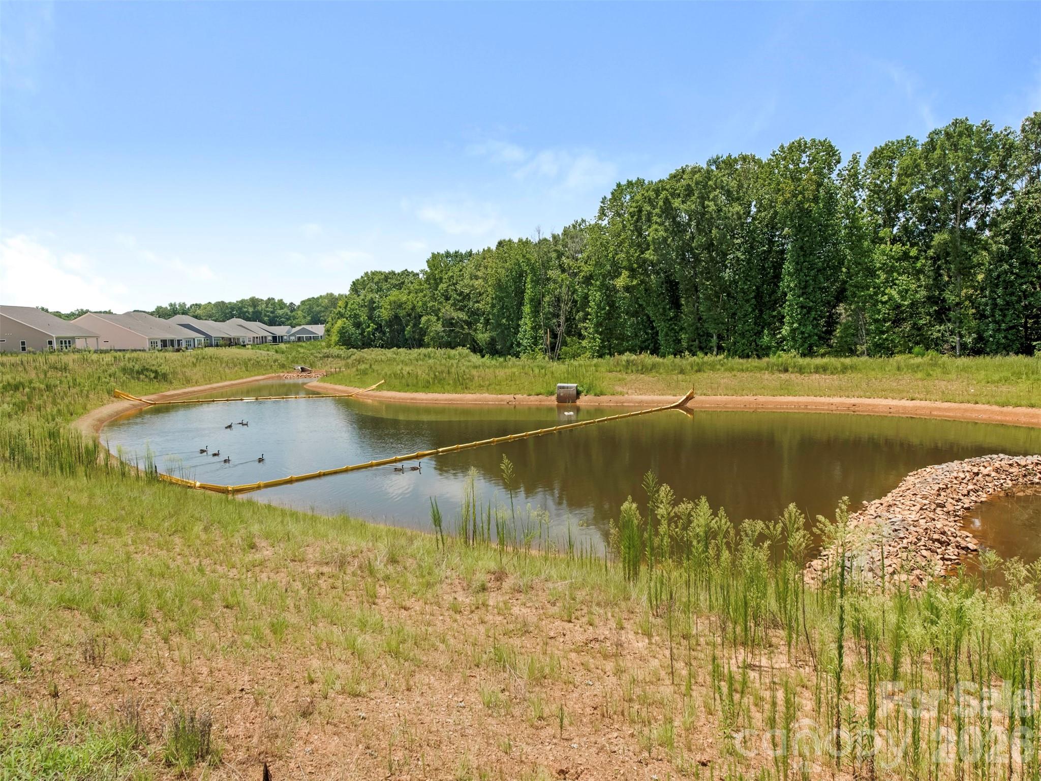 Cresswind at Wesley Chapel - Residential