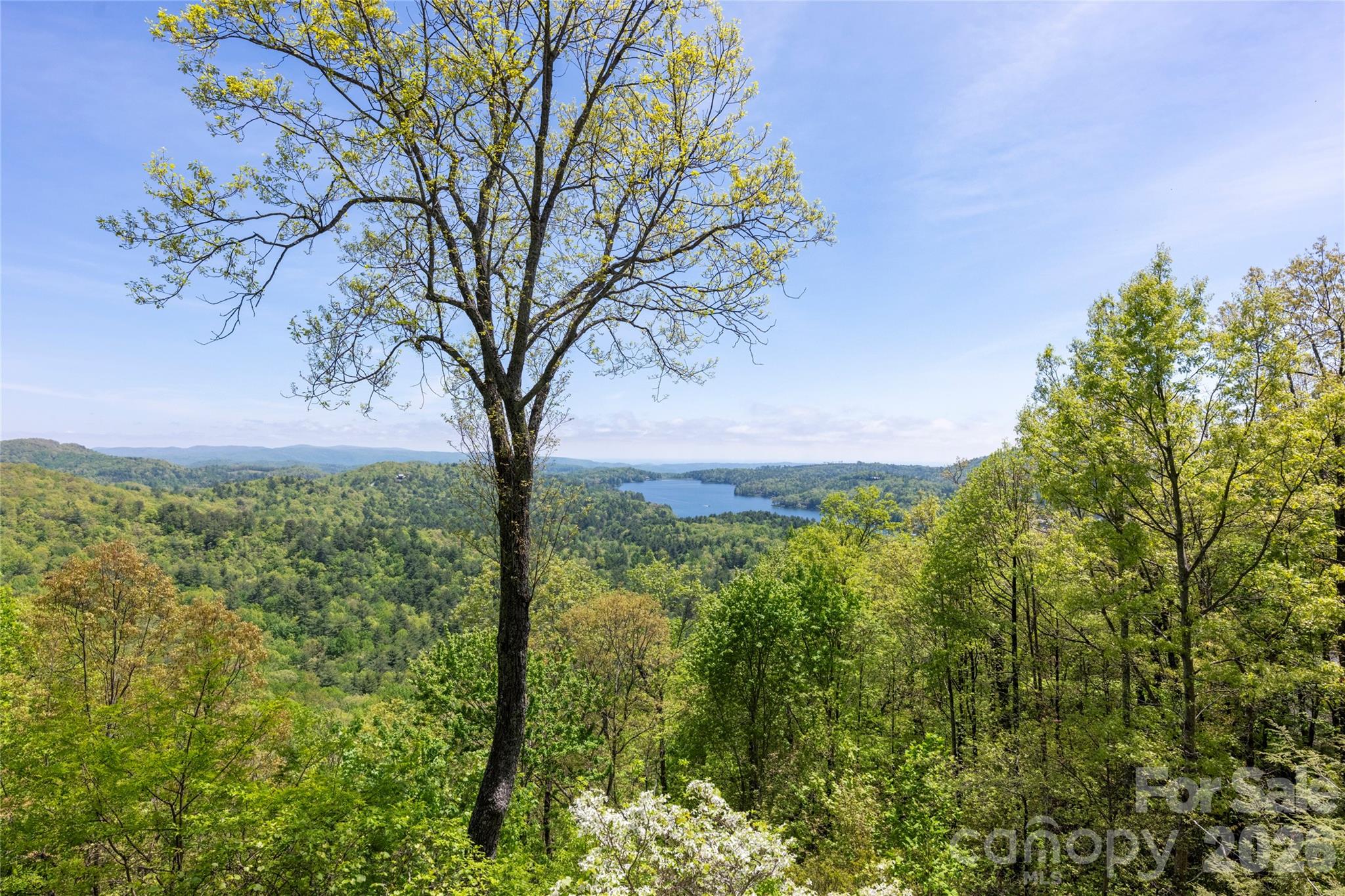 Lake Toxaway Estates - Residential