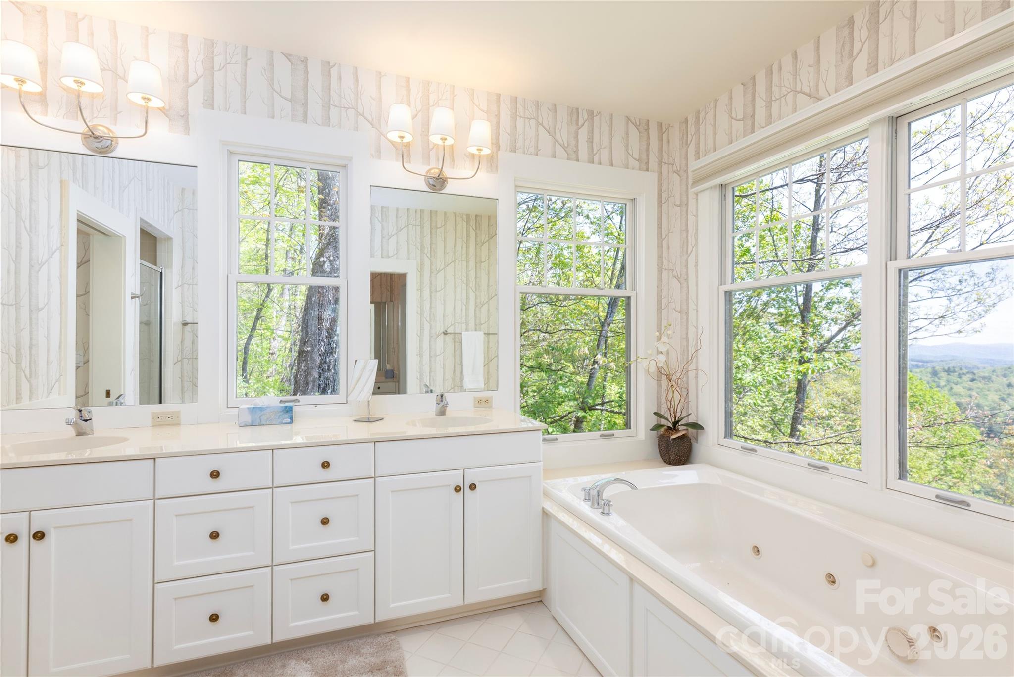 Lake Toxaway Estates - Residential