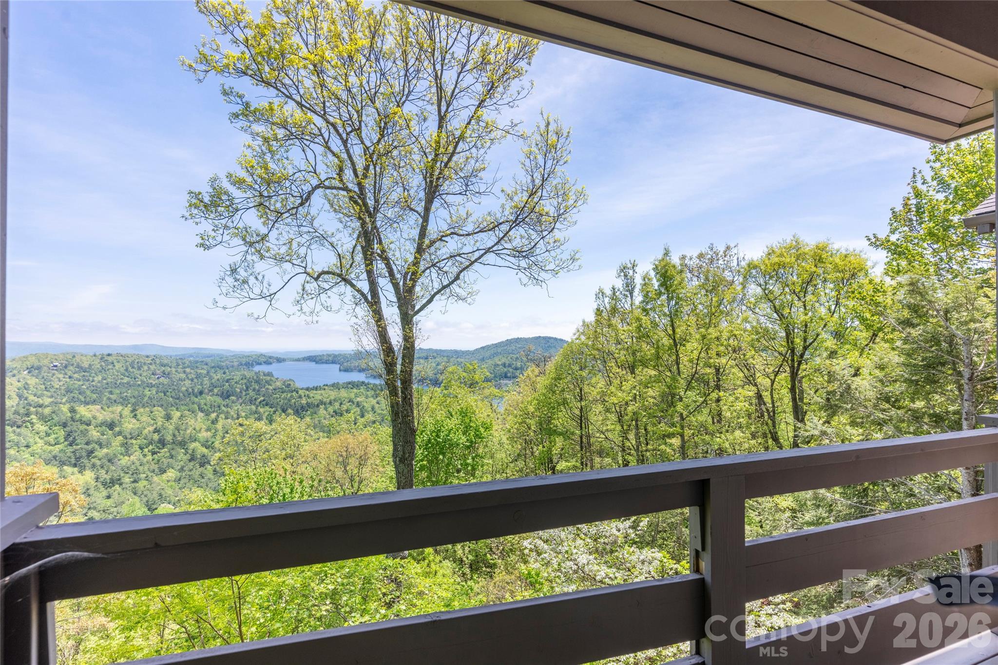 Lake Toxaway Estates - Residential